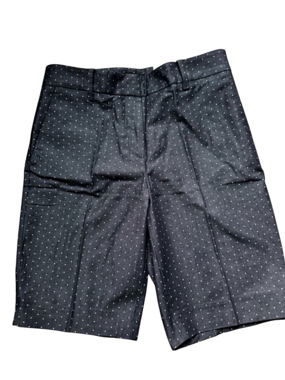 Ann Taylor Black Microdot Flat-Front Shorts